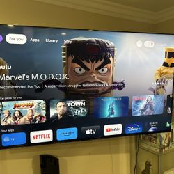 65 Inch Sony Bravia Tv