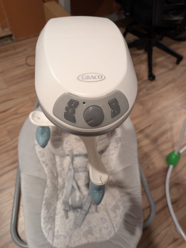 Graco Infant Swing 