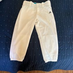 Adidas Climalite baseball pants