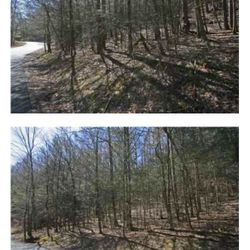 Lake Lure, NC Wooded Lot For Sale 