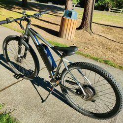 Em.1 10 E11EVEN Bike Electric