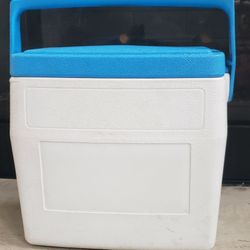 Small Cooler 