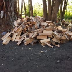 Dry Maple 