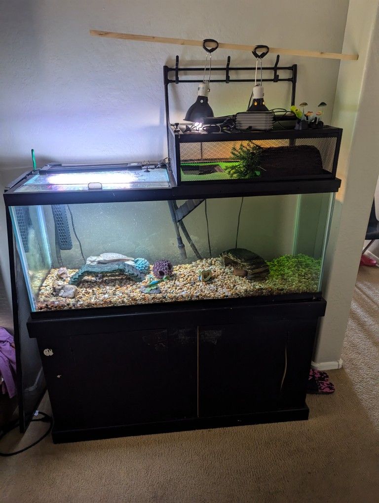 75 Gallon Turtle Tank / Aquarium With lights And Cascade 1500