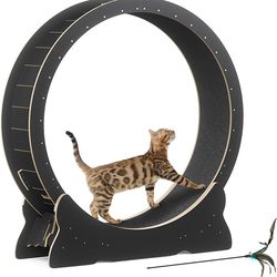 Cat Exercise Wheel, 46'' Cat Wheel for Indoor Cats with Carpeted Runway, XL Treadmill with Removable Carpet and Teaser, for Running Walking Training (