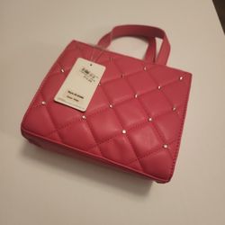 Small Pink Purse