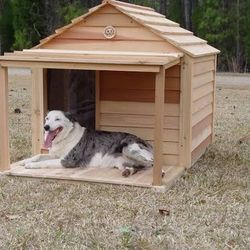 Dog House 