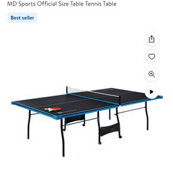 Ping Pong Table 