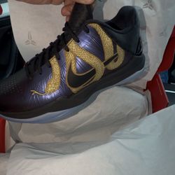 Nike Kobe 5 Protro 