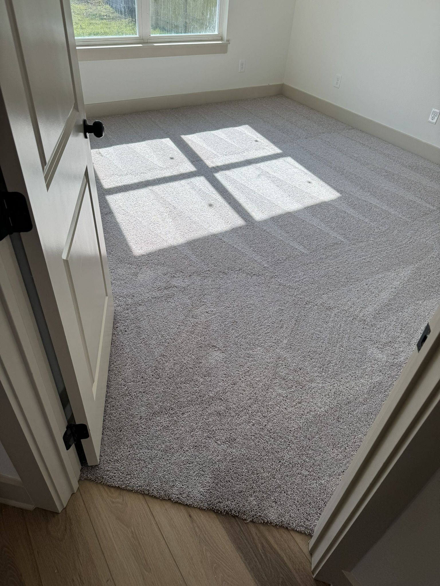Carpet For Sale