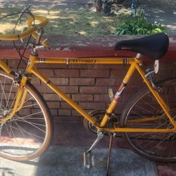 1970's     10 speed  bike 