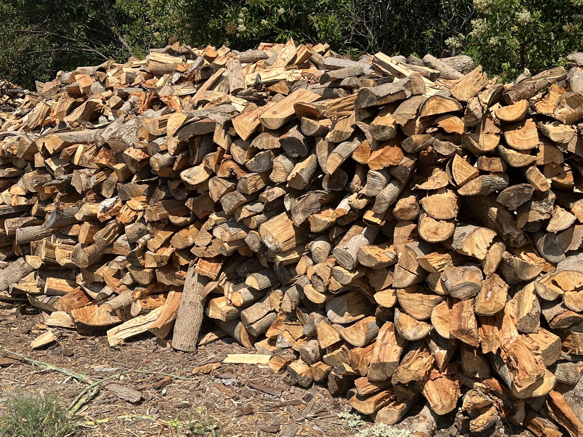 Firewood 