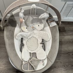 Baby Bouncer