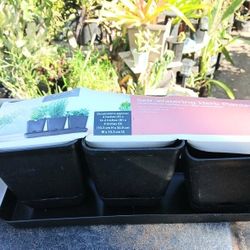  New Self Watering Herb Growing Kit 3 Pots