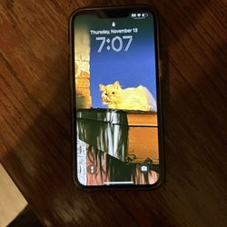 iPhone 13 Unlocked 