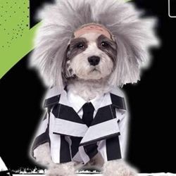 Large Size Dog Costume 