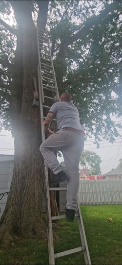 28' ladder 🪜