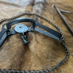 Antique Forestry Trap 