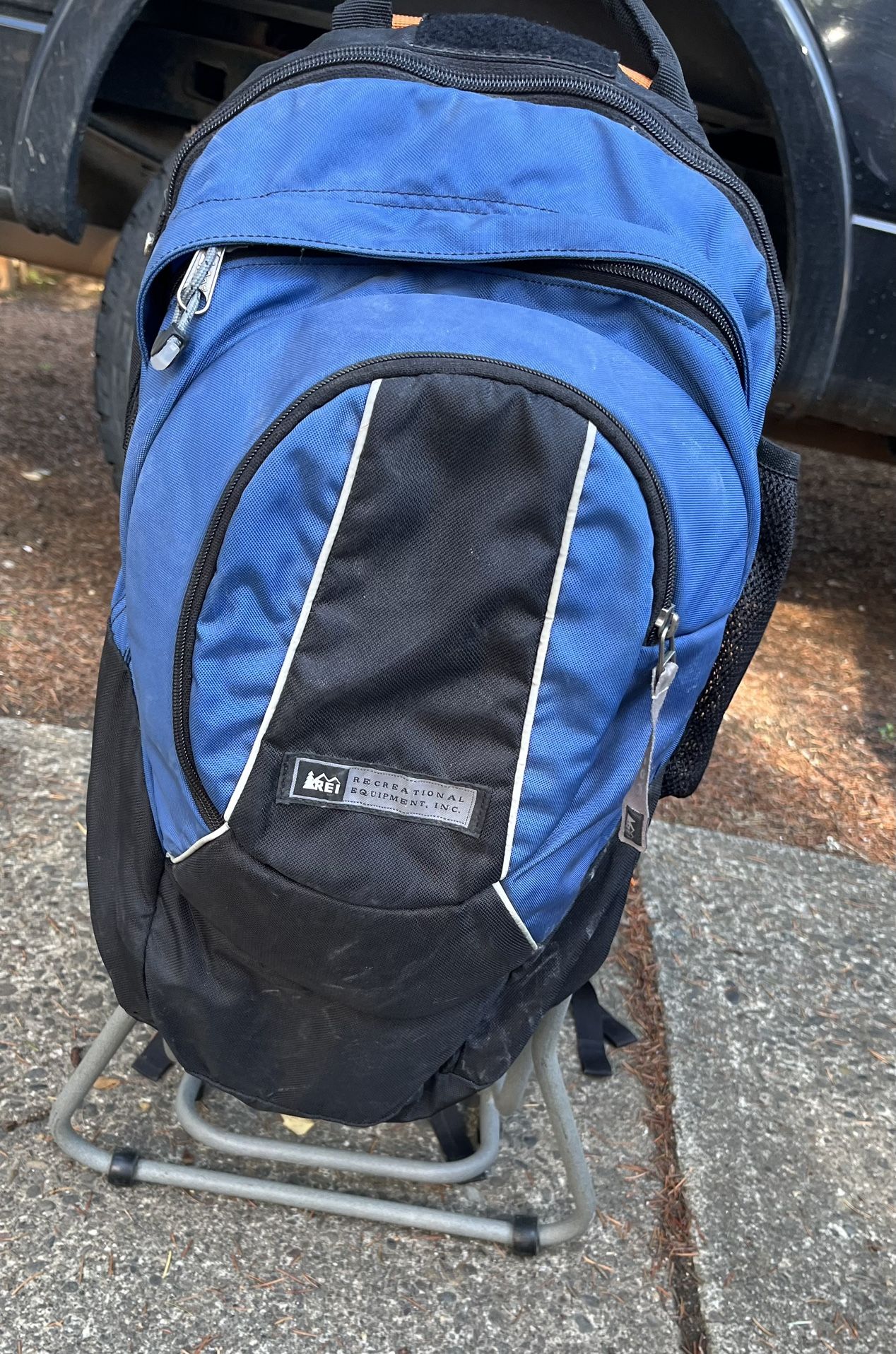 REI kid carrier/backpack