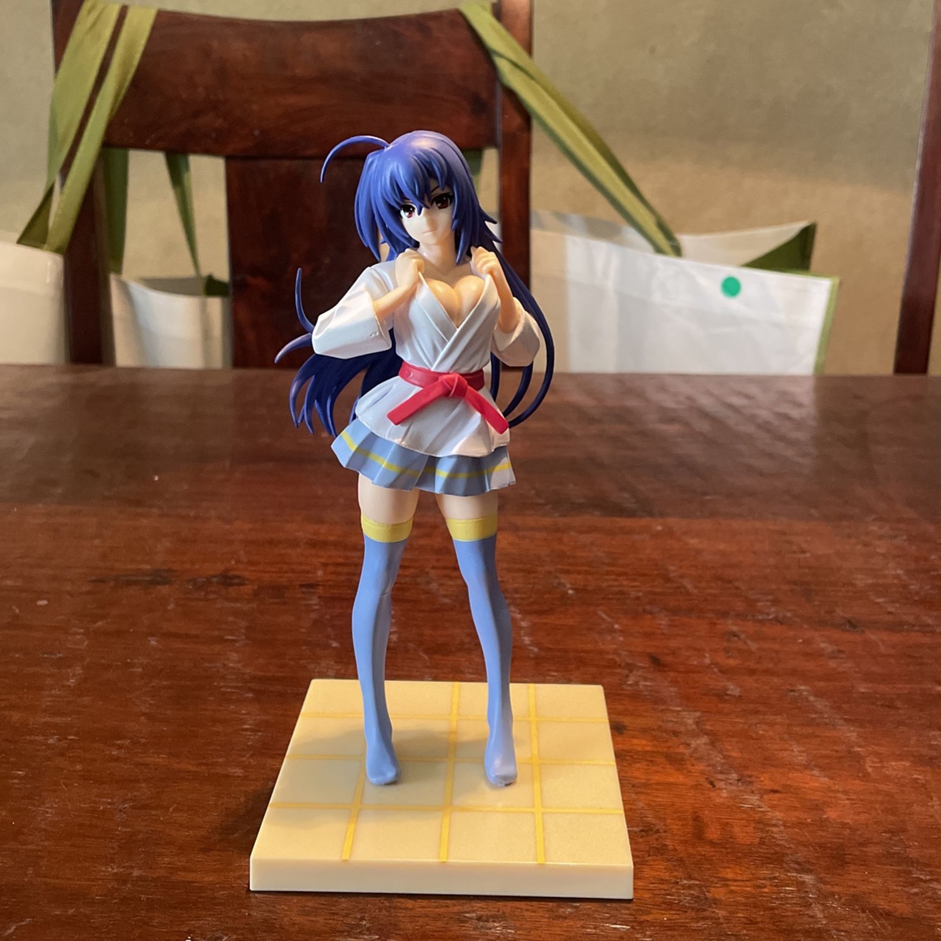 Medaka Kurokami High Grade Figure Kurokami Judo Wear HG Anime Manga Medaka Box