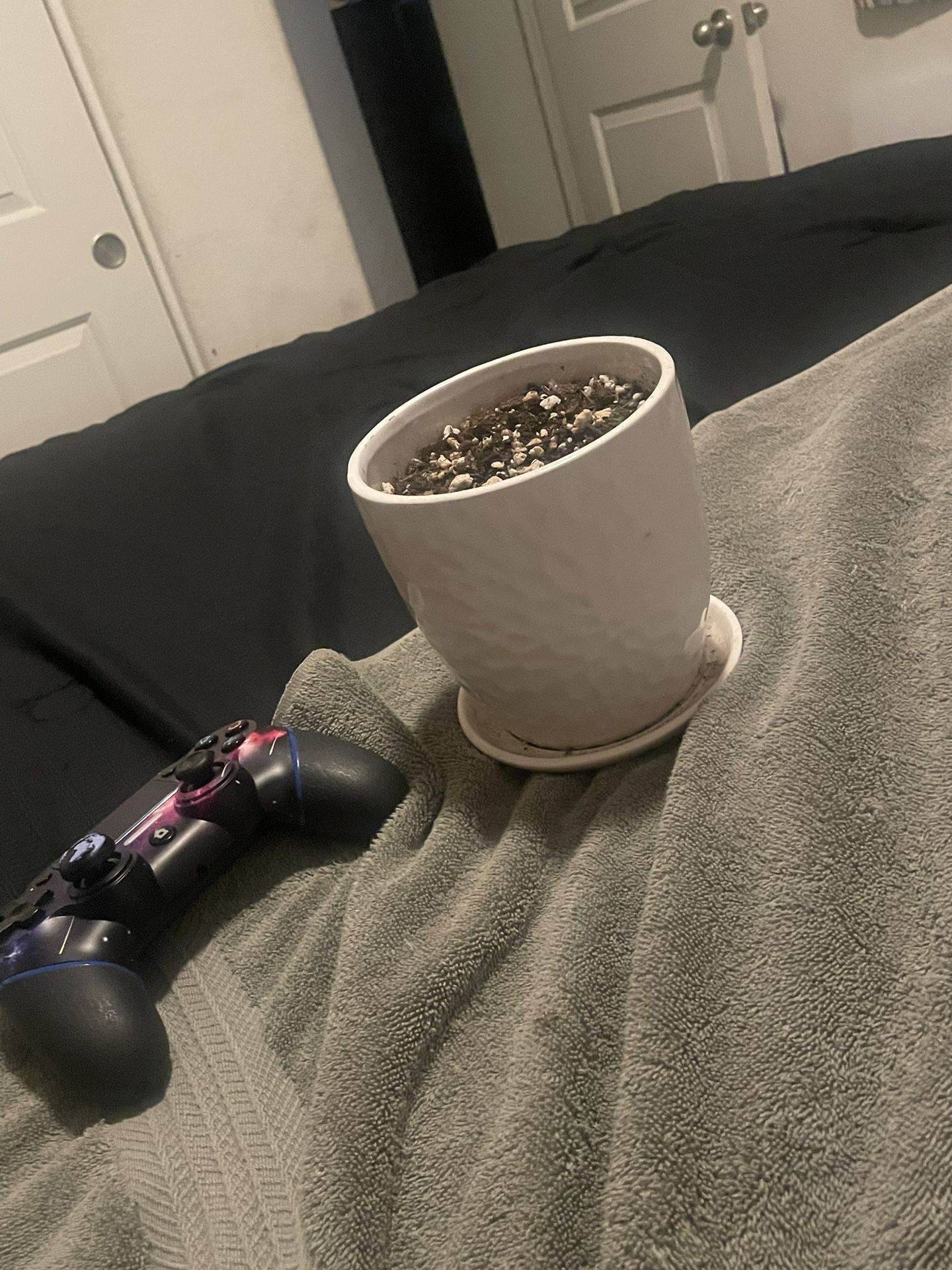 Flower Pot
