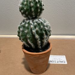 Pottery Barn succulents 