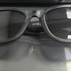 RayBan P - Meta AI Sunglasses