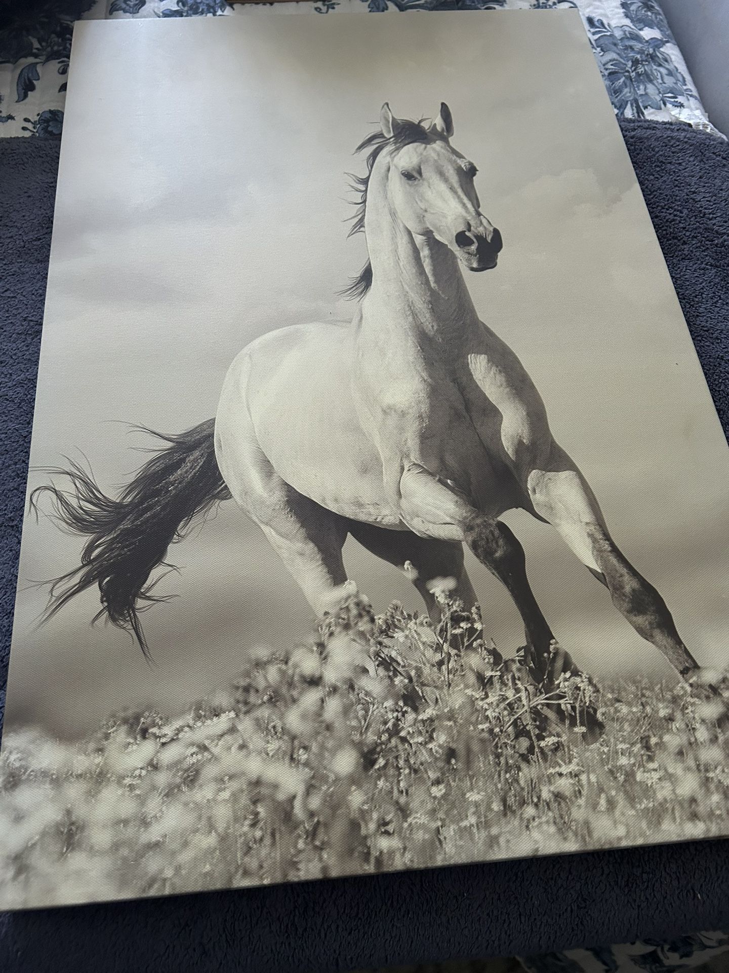 Pictures Of Horses,New Products : American Fashion Style Bags On Sale