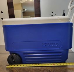 Cooler Igloo