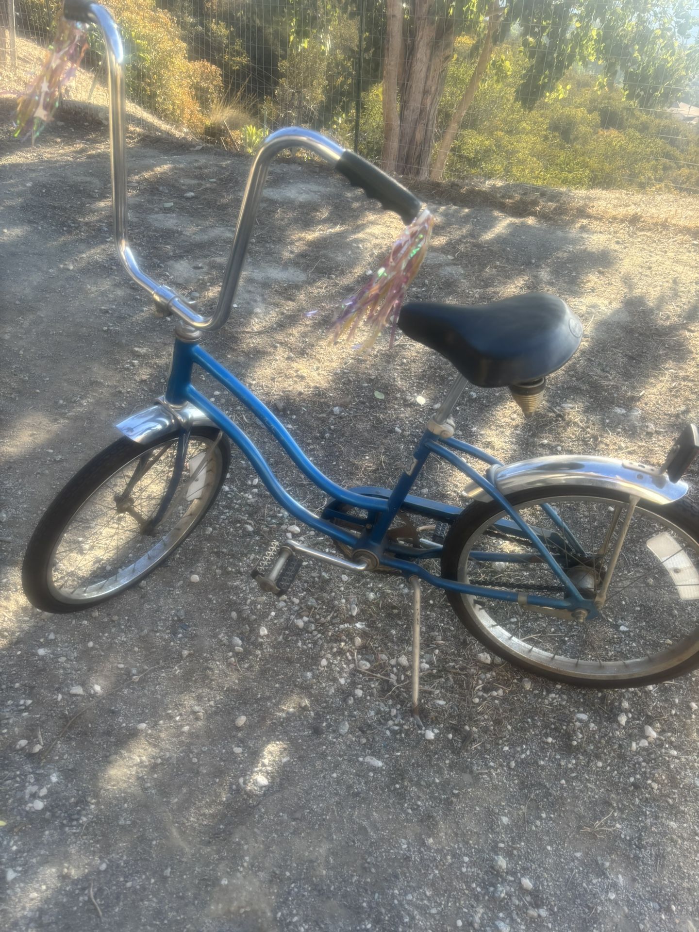 Vintage Fair Lady Schwinn Fair Lady Bicycle Bike