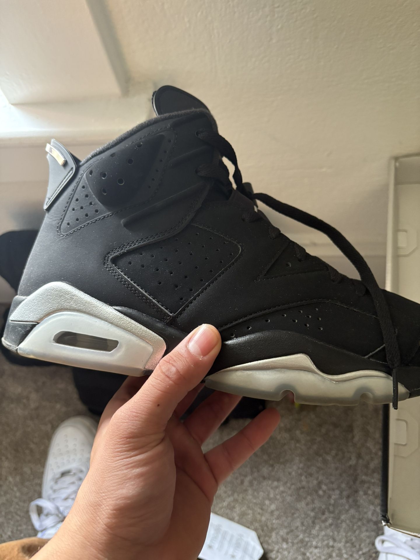 Chrome Jordan 6