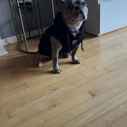 Snoop Dogg Pet Hoodie 