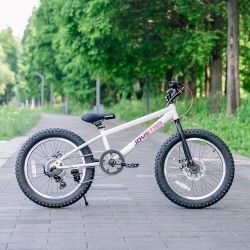 Mountain Bike for Kids: JOYSTAR Minifat 20 Inch Fat Tire bike for kids is designed for 7-13 years children.