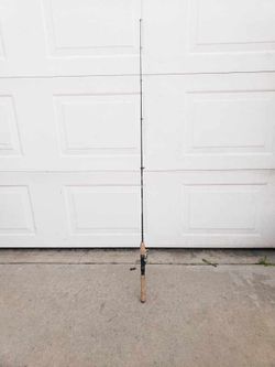 Fishing Pole With Reel 