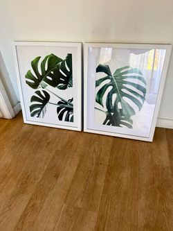 16x20 Plant Wall Art