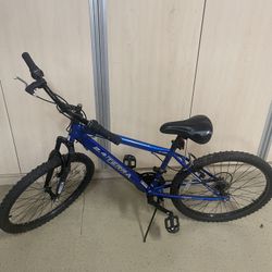 Mountain bike