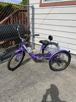 Adult Tricycle
