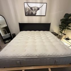 Aireloom Alta Lux Top  Eastern King Mattress