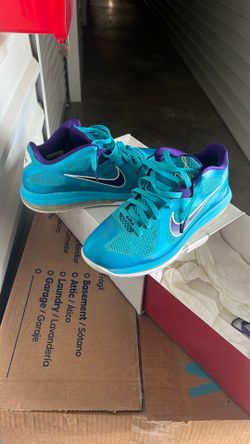 LeBron 9 Low Size 11