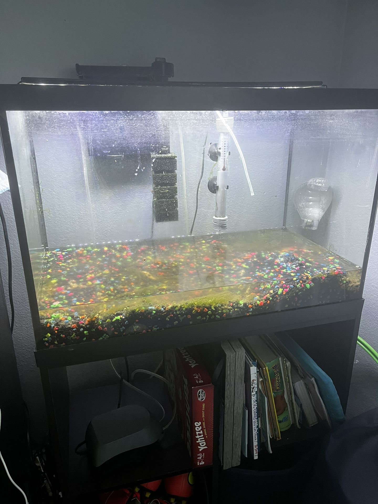 20 Gallons Aquarium Tank