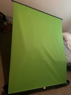 El gato green screen  73/58