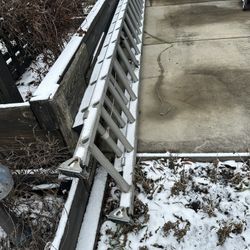 40’ Ladder- Black Tip 