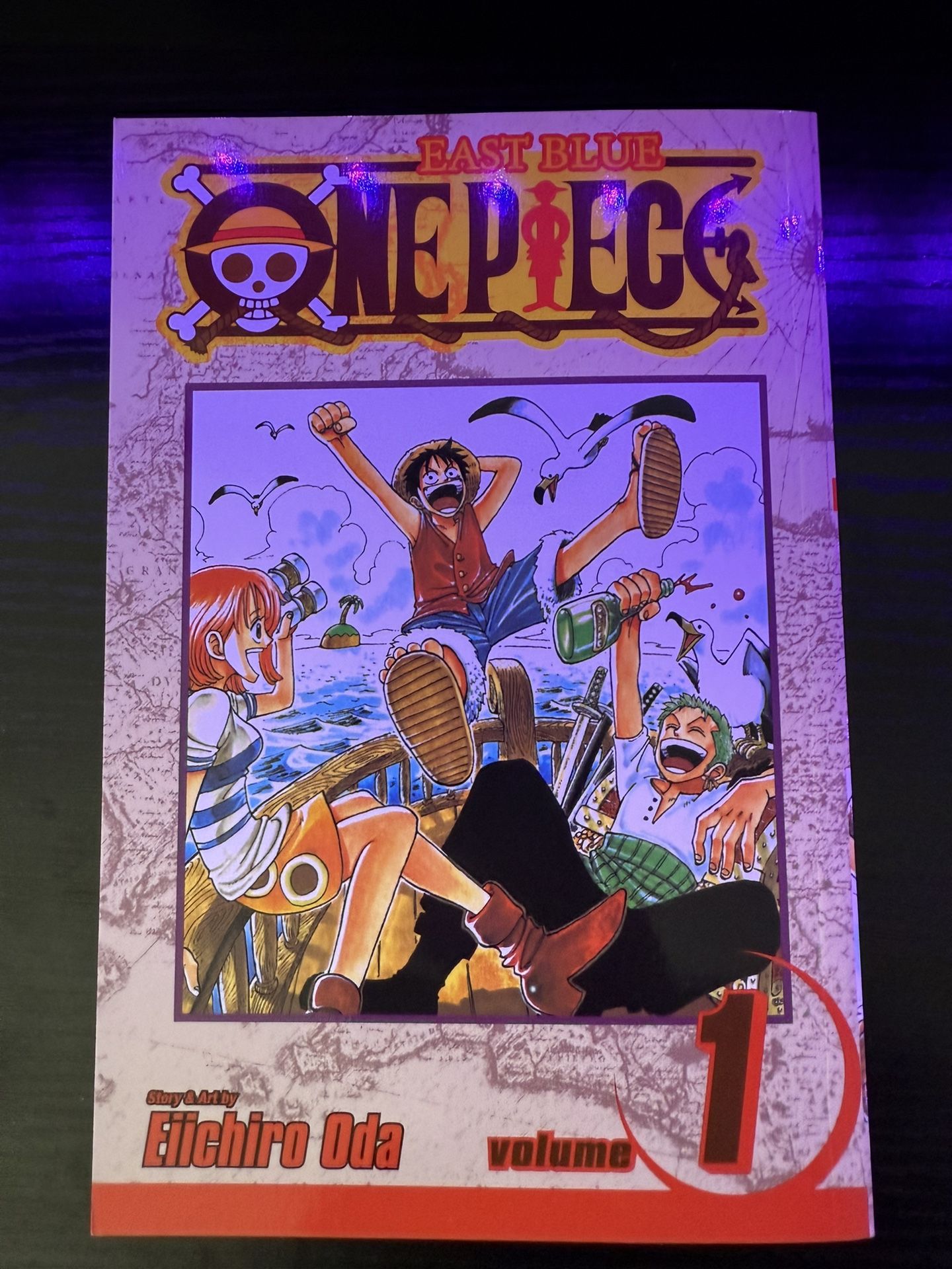 One Piece Volume 1