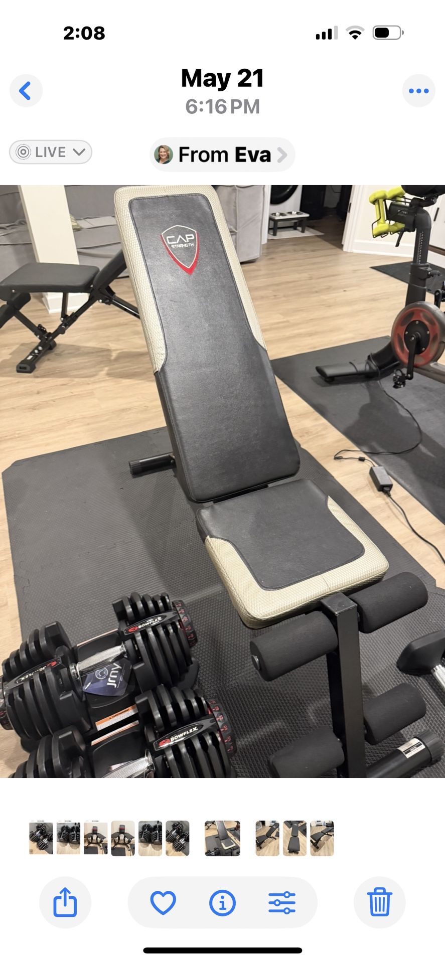 Work Out Bench
