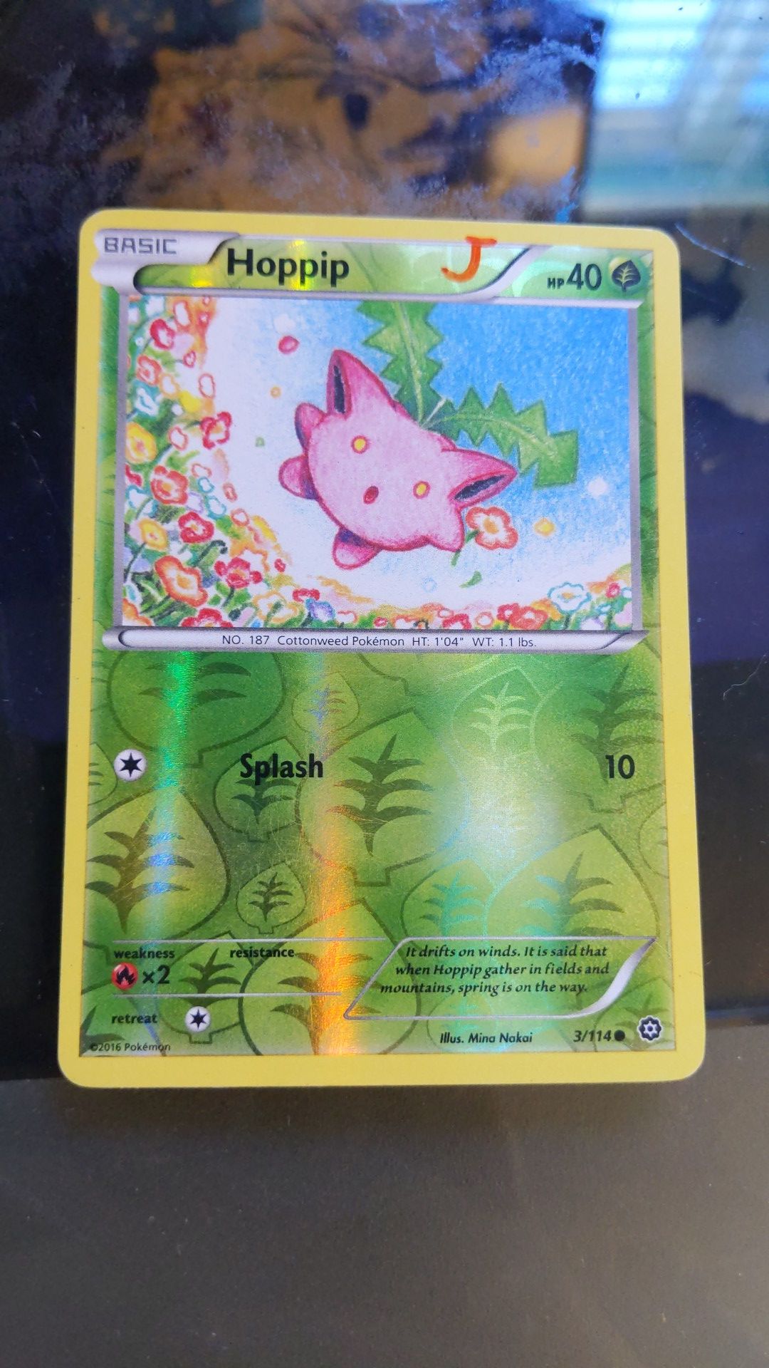 Hoppip Holo Pokemon card