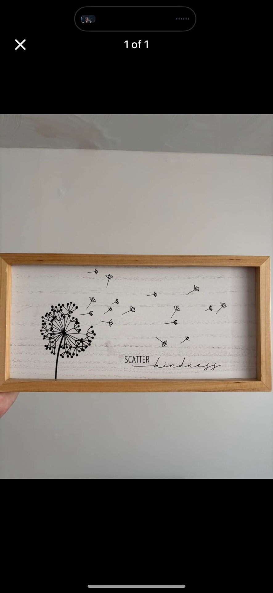 Scatter Kindness, Wall Decor