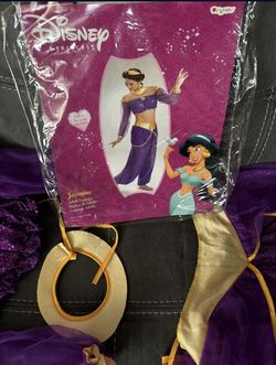Princess Jasmine Costume