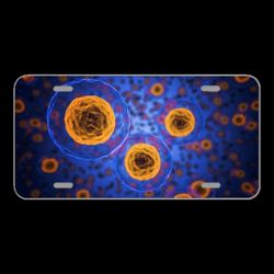 License Plare Novelty Car Front Cells Human Medical Biology Health