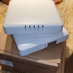 Ruckus Wireless R600's