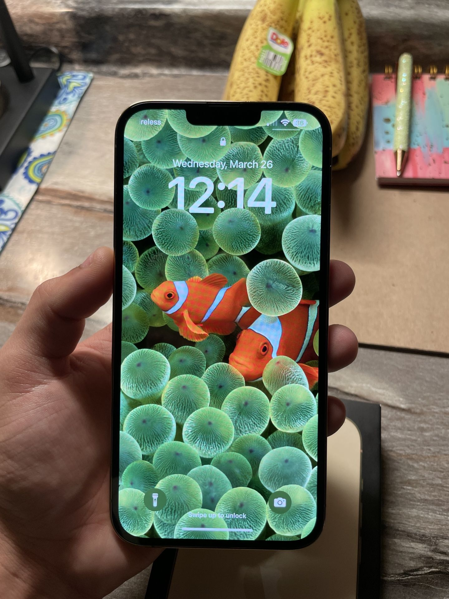 iPhone 13 Pro Max